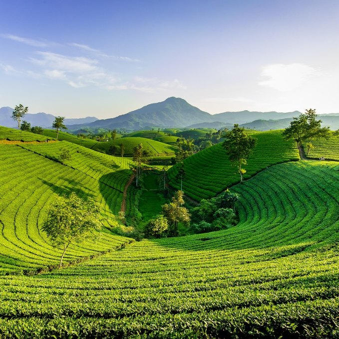 Viaggio di gruppo in Vietnam: dalle lanterne di Hoi An ai canali del Mekong, l'Indocina che ti cambi